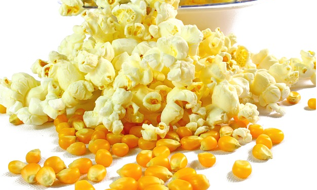 Les chiens peuvent-ils manger du maïs soufflé?  Le maïs soufflé est-il bon ou mauvais pour les chiens?