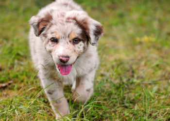 Un bilan de santé propre