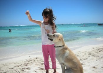 Comportement du chien, aidez vos chiens à s’équilibrer.