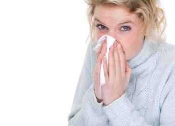 L’allergie aux chiens n’est pas idéale et peut poser des problèmes.