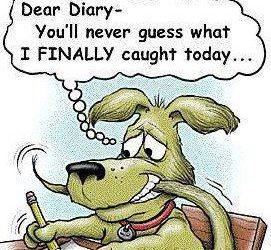 Le TOC chez les chiens est délibéré, mais avec de l’aide peut être traité.