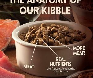 Meilleure nourriture pour chiots, que choisissez-vous pour nourrir votre chien?