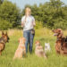 Renforcement positif pour les chiens – Dresser les chiens de la bonne manière