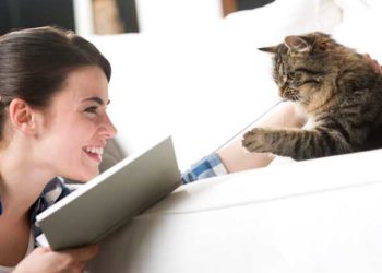 Comment aider votre chat à vivre longtemps et en bonne santé |  Combien de temps les chats vivent-ils?