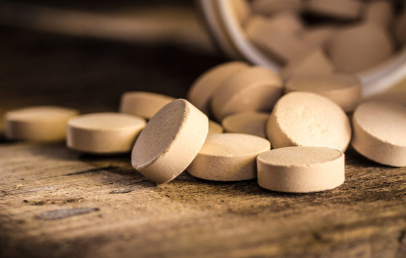 Levure de bière pour chiens: comprendre les avantages et les risques