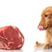Nourriture crue pour chiens – est-ce une alimentation saine?