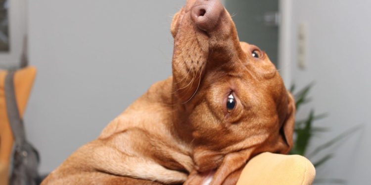 ce visage un peu comme ça …!