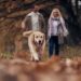 Les chiens peuvent-ils attraper Poison Ivy?