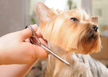 les meilleurs centres de votre ville