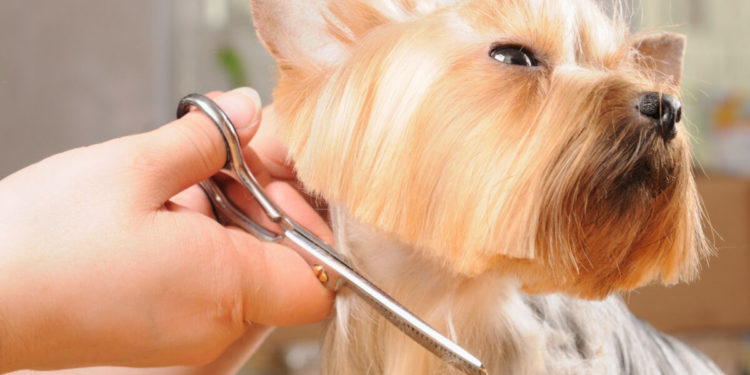 les meilleurs centres de votre ville