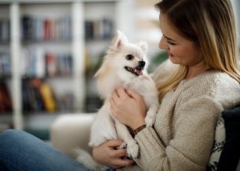 Les chiens peuvent-ils avoir de l’asthme?  |  Animauxinfo
