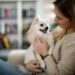Les chiens peuvent-ils avoir de l’asthme?  |  Animauxinfo