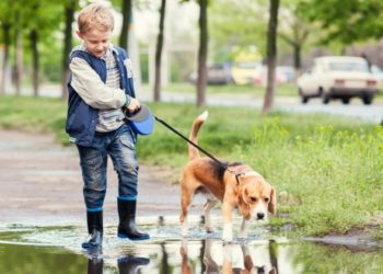 Les chiens peuvent-ils enseigner la responsabilité aux enfants?