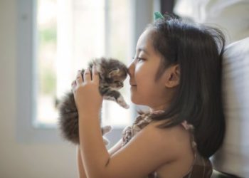 Enfants et chats: responsabilité selon l’âge