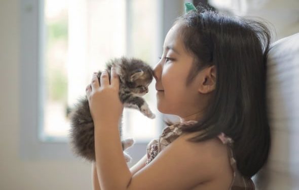 Enfants et chats: responsabilité selon l’âge