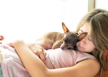 Nos chiens peuvent-ils lire nos pensées?  |  Comment les chiens savent-ils ce que nous pensons?