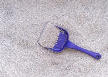 Un bac à litière autonettoyant est-il vraiment moins efficace?