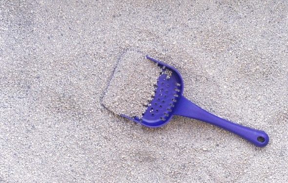 Un bac à litière autonettoyant est-il vraiment moins efficace?