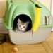 Litière naturelle pour chat : quelle est la différence et devriez-vous changer ?