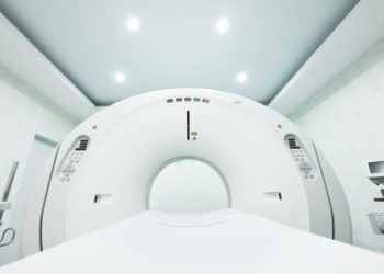 CT Scans chez les animaux de compagnie : tout ce que vous devez savoir