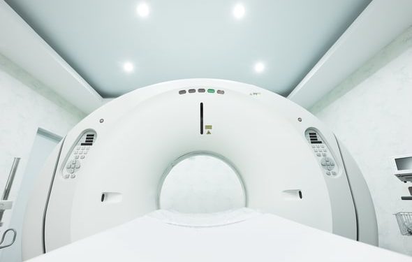 CT Scans chez les animaux de compagnie : tout ce que vous devez savoir