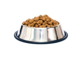 Démystifier l’étiquette des aliments pour chiens