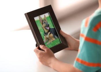 Faire face à la mort de votre animal de compagnie : un guide important