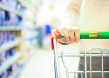 Ingrédients des aliments pour animaux de compagnie : comment trouver le bon équilibre pour votre animal de compagnie