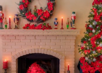 Plantes dangereuses pour les vacances d’hiver pour animaux de compagnie