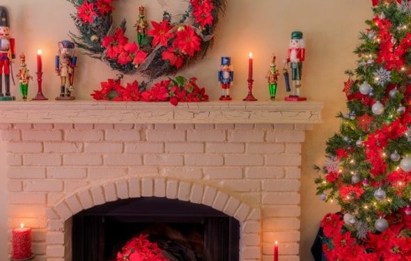 Plantes dangereuses pour les vacances d’hiver pour animaux de compagnie