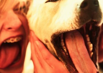 Régimes dentaires pour une meilleure santé bucco-dentaire