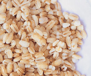 De l’orge pour un chien de compagnie ?