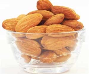 Des amandes pour un chien ?  |  Bon cadeau ou pas ? [Best Advice]