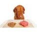 Est-ce que nourrir mon chien avec des aliments crus en vaut vraiment la peine ?