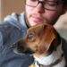 Frais d’adoption de chien |  Frais d’adoption de chien |  Combien coûte l’adoption d’un chien
