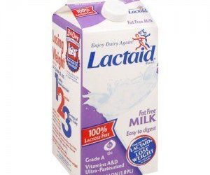 Lait sans lactose pour chien ?
