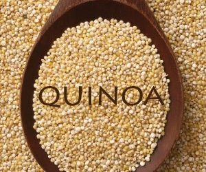 Le quinoa est-il sain pour les chiens ?  Des inconvénients? [Best Advice]