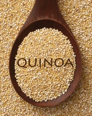 Le quinoa est-il sain pour les chiens ?  Des inconvénients? [Best Advice]