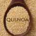 Le quinoa est-il sain pour les chiens ?  Des inconvénients? [Best Advice]