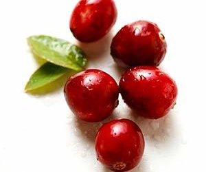 Les canneberges peuvent-elles guérir l’infection de la vessie d’un chien (UTI) ?