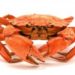 Les chiens peuvent-ils avoir de la chair de crabe ?