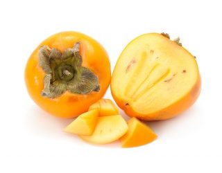 Les chiens peuvent-ils avoir des kakis?  |  OK pour partager ? [Best Advice]