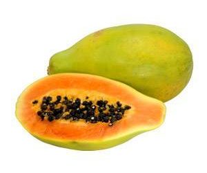 Les chiens peuvent-ils manger de la papaye ?  |  Sain pour les chiens ? [Best Advice]