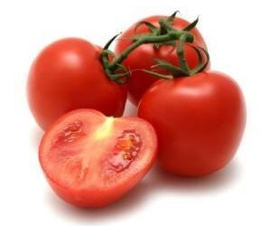 Les chiens peuvent-ils manger des tomates ?  |  Toxicité affinée ou non affinée ?