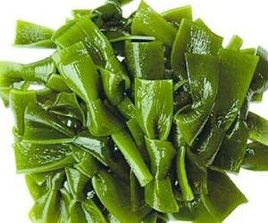 Les chiens peuvent-ils manger du varech ?  |  En bonne santé pour les K9 aussi ? [Best Advice]