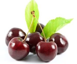 Les chiens peuvent manger des cerises |  Acheter devraient-ils? [Best Advice]