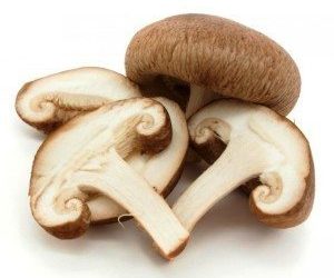 Les chiens peuvent manger des champignons |  Partagez en toute sécurité en étant sélectif !