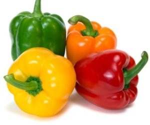 Les chiens peuvent manger des poivrons