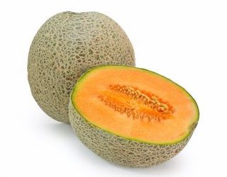 Les chiens peuvent manger du cantaloup !  |  Mais devraient-ils? [Best Advice]