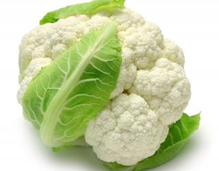 Les chiens peuvent manger du chou-fleur |  Mais devraient-ils? [Best Advice]